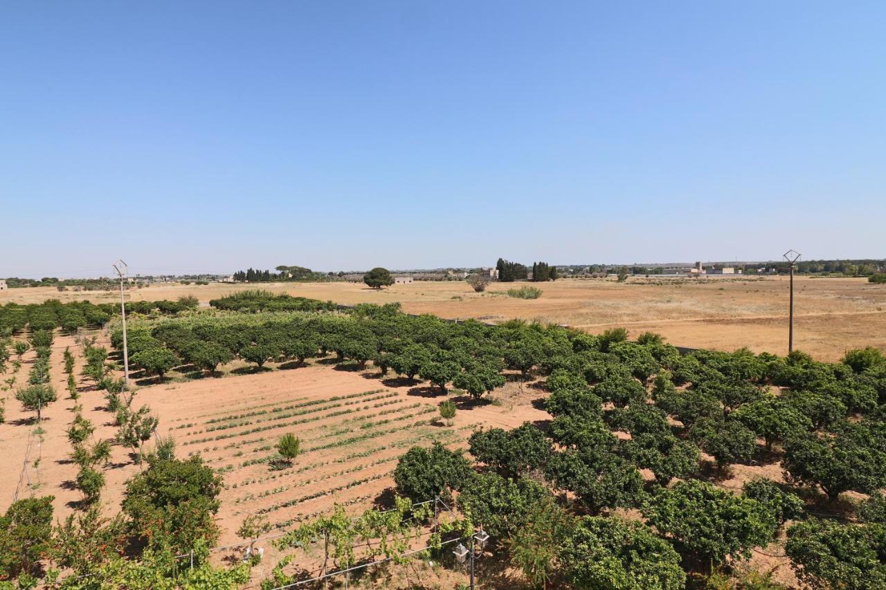 Tenuta Degli Agrumi Carmiano  Экстерьер фото