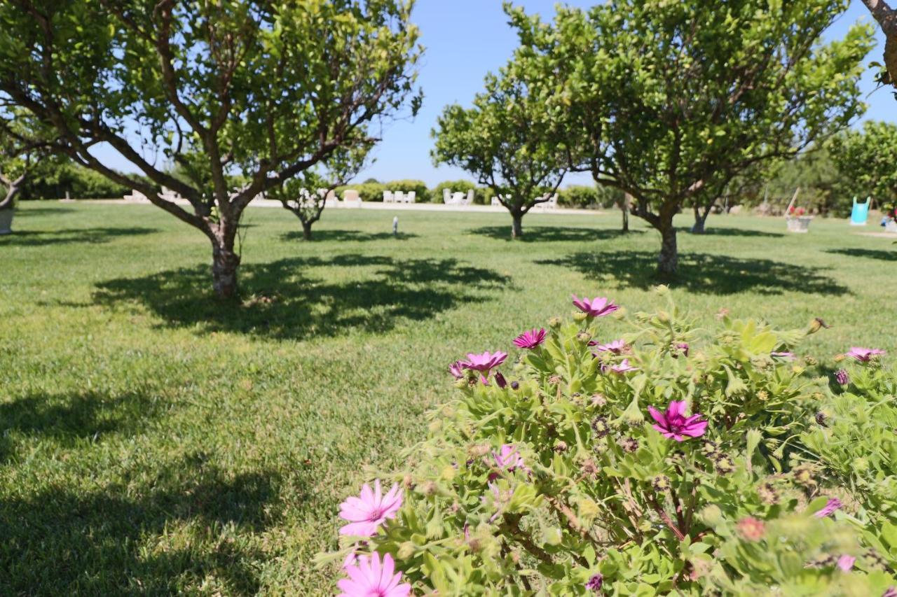 Tenuta Degli Agrumi Carmiano  Экстерьер фото